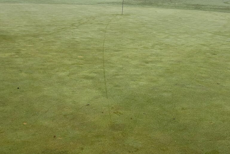 My longest putt ever!