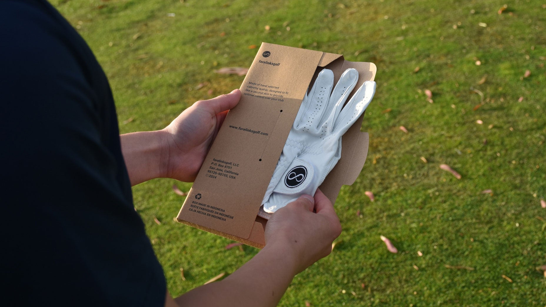 An image of ForeLinks golf gloves