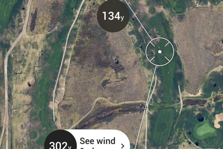 First ever albatross (which should really be an eagle)