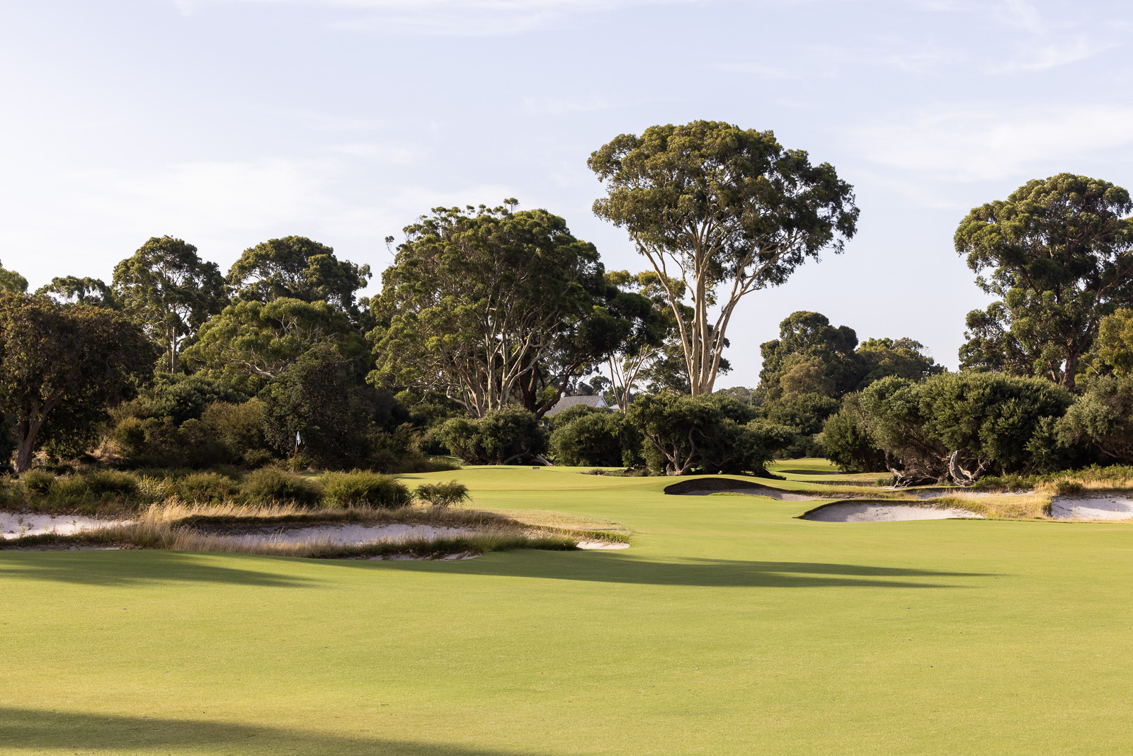 Kingston Heath hole 9