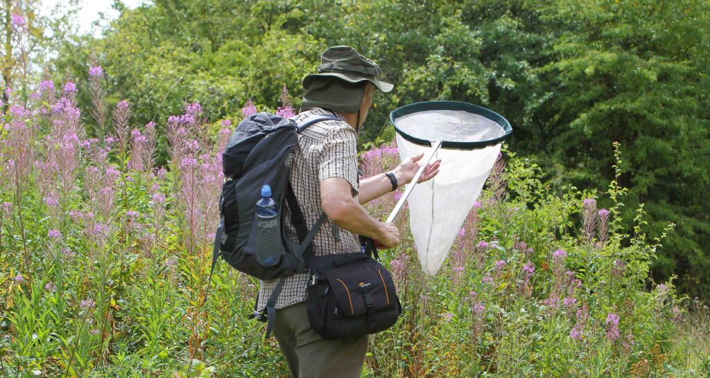 Lindrick Golf Club BioBlitz Case Study 2025 Lindrick Golf Club BioBlitz Case Study 2025