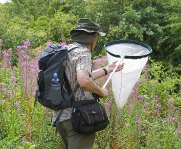 Lindrick Golf Club BioBlitz Case Study 2025