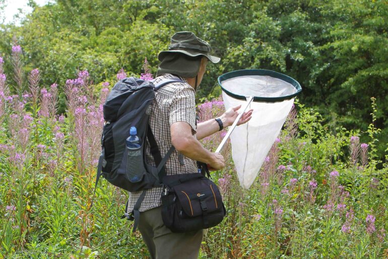 Lindrick Golf Club BioBlitz Case Study 2025