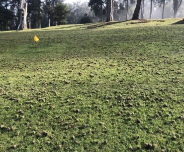 Marginal lands may not have much economic value, but they're incredibly important for pollinators.