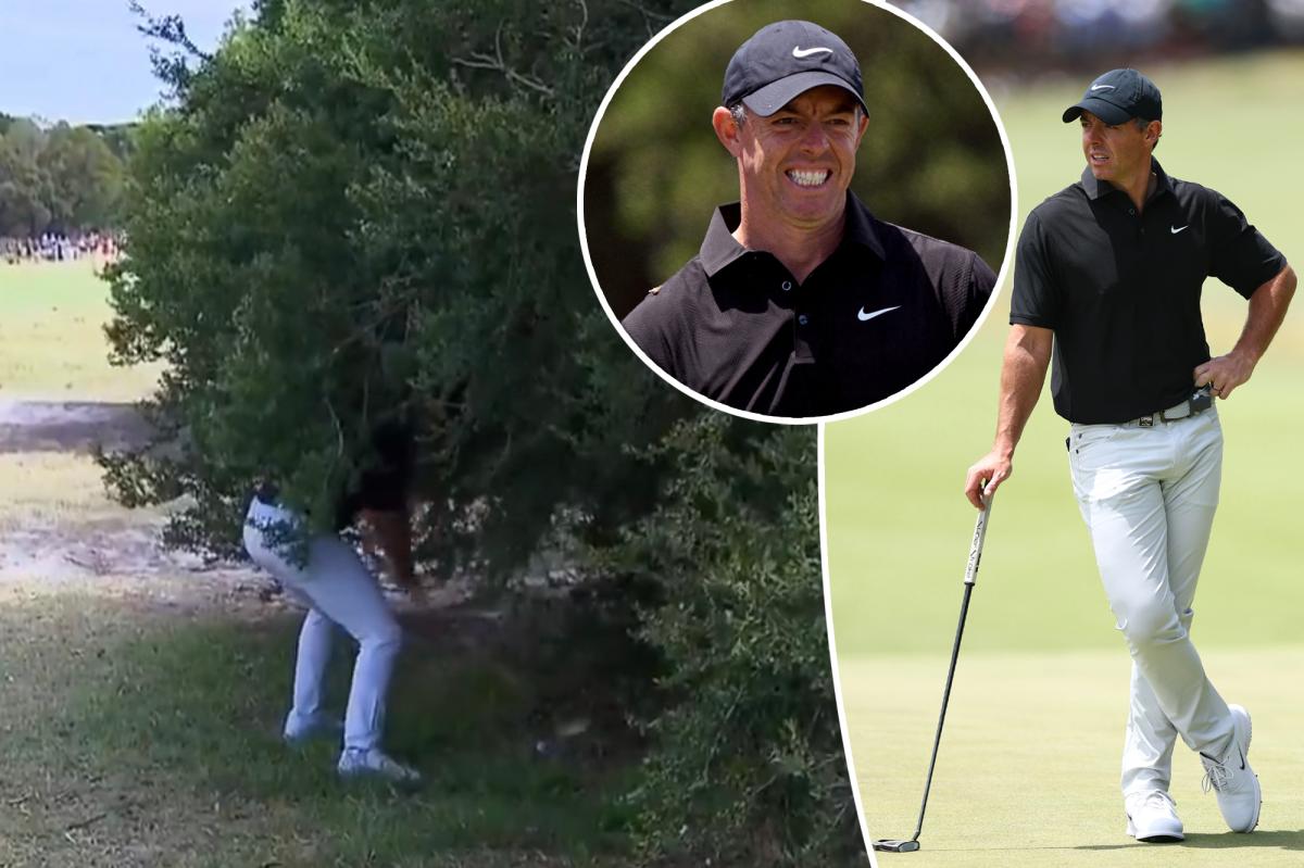 Rory McIlroy completely whiffs on shot in embarrassing Australian Open moment Rory McIlroy completely whiffs on shot in embarrassing Australian Open moment
