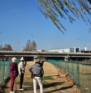 Why park golf is a perfect fit for aging South Korea