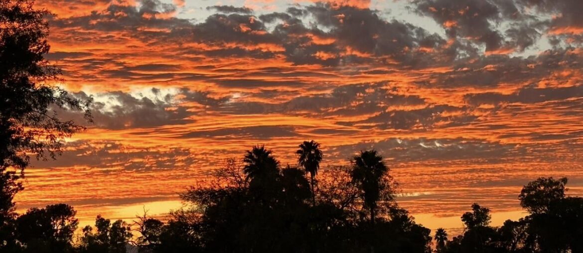 Evening Golf > Morning Golf