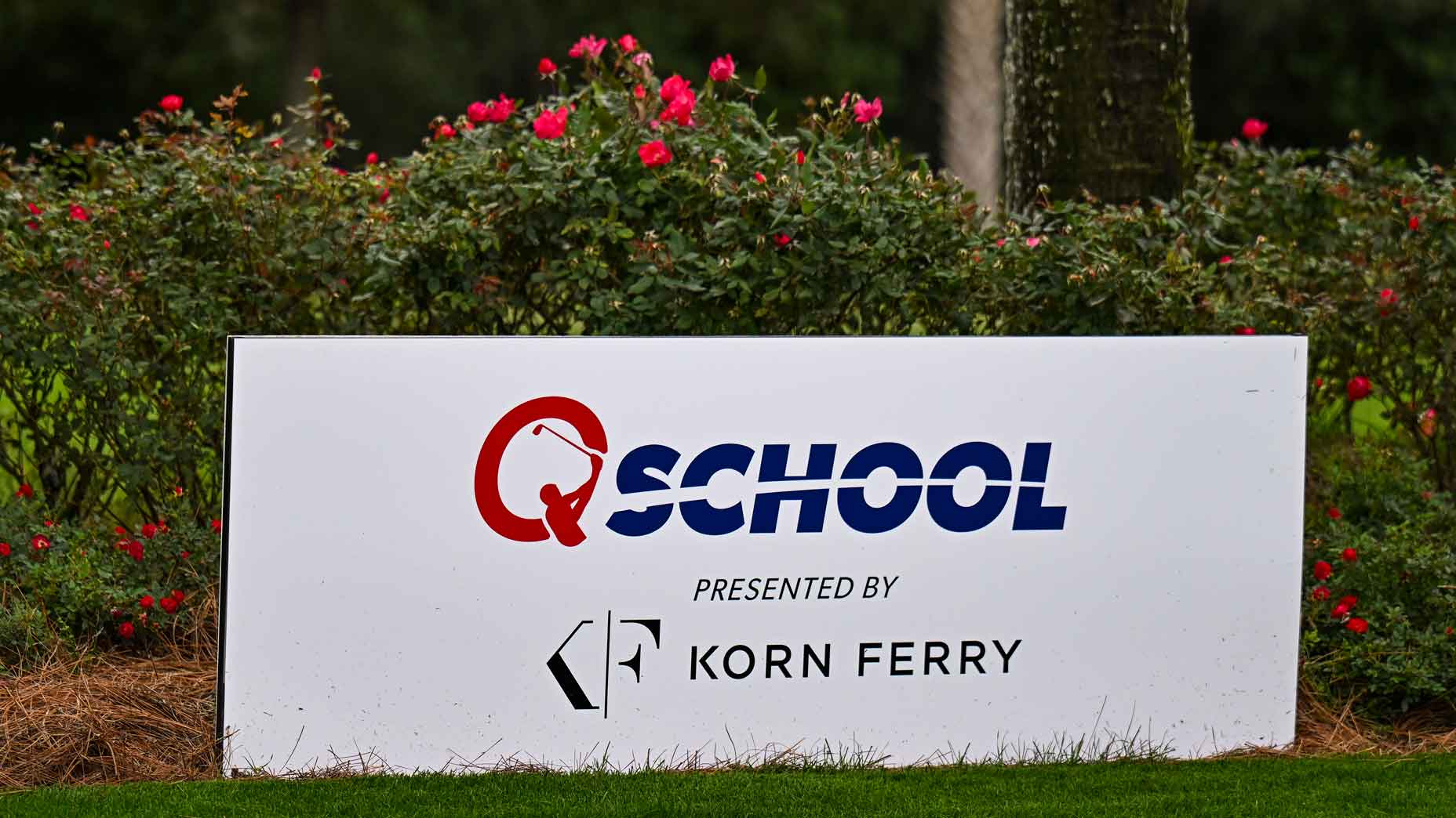 Q-School rule change could bring chaos amid packed leaderboard Q-School rule change could bring chaos amid packed leaderboard