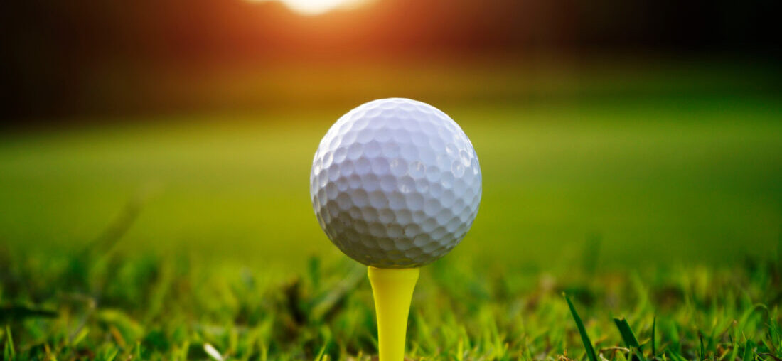 2025 Journal-World All-Area Girls Golf Team | News, Sports, Jobs