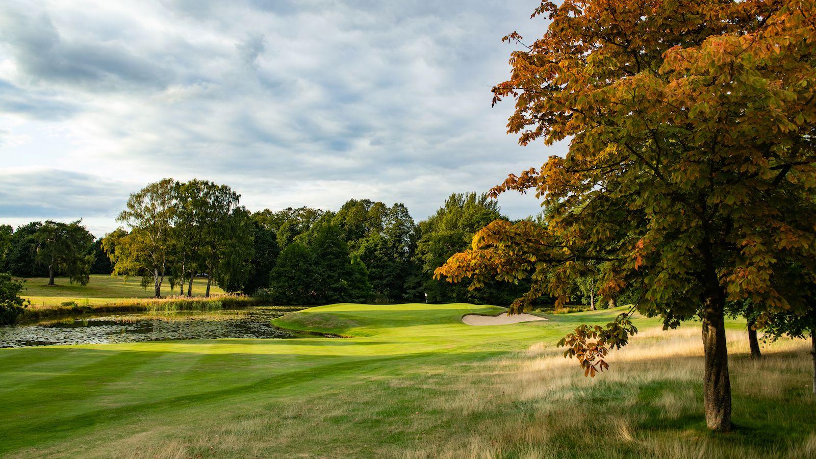 A Tale Of Two Harries: Vardon And Colt’s English Midlands Masterpiece The 17th hole at Little Aston Golf Club