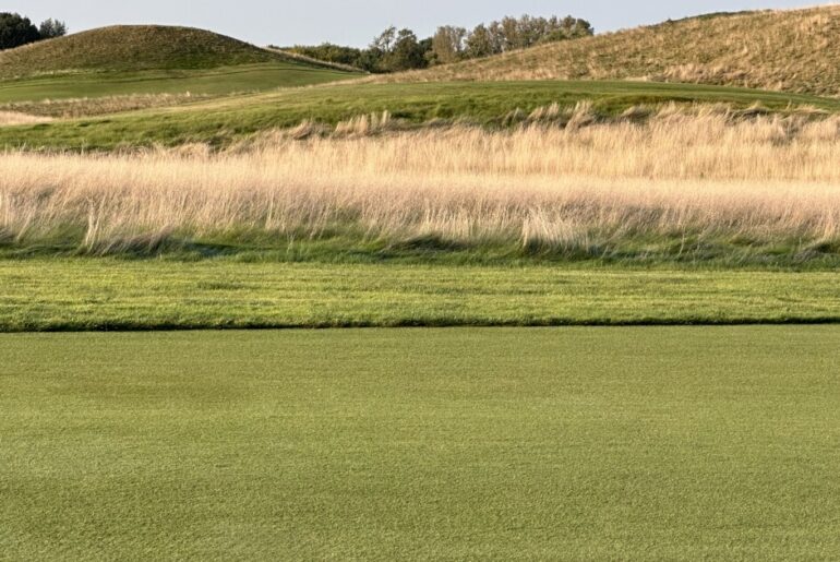 Walking in their footsteps