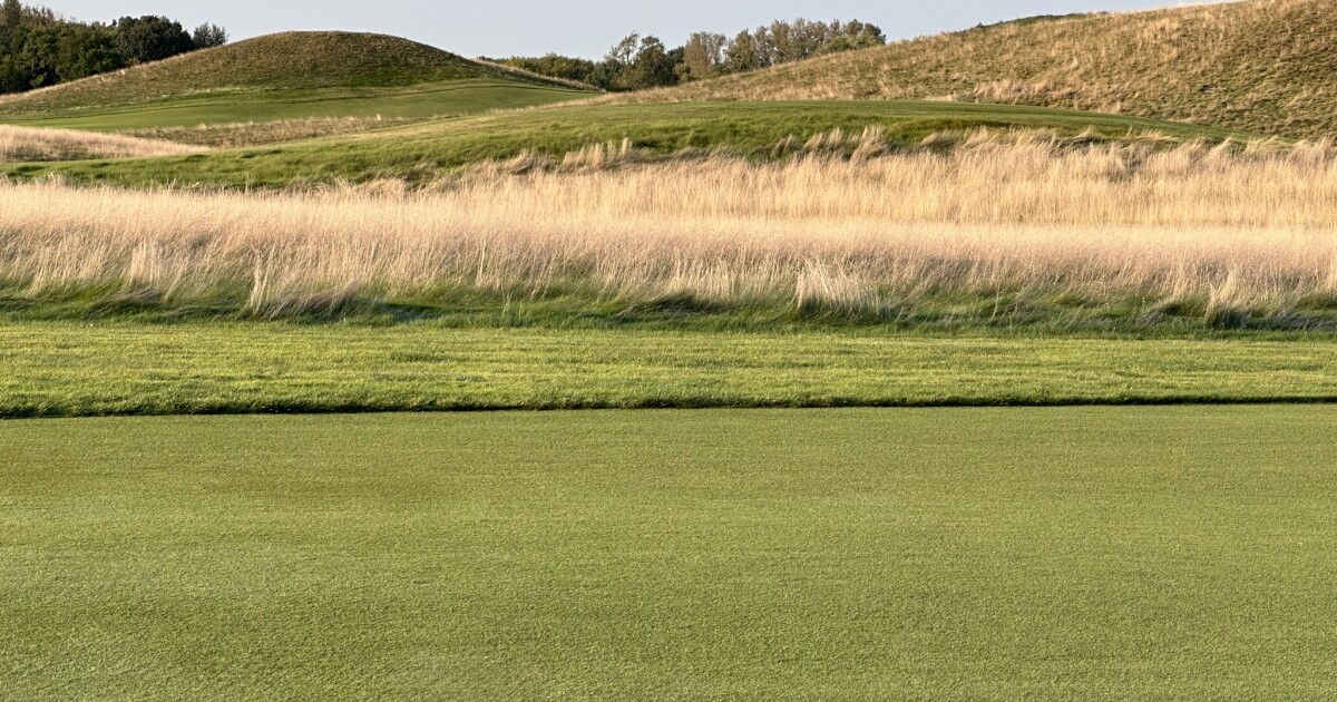 Walking in their footsteps Walking in their footsteps