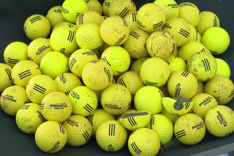 Sun City Center man concerned about damaged homes, safety from golf balls flying over netting