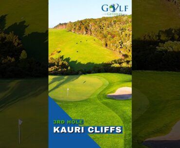 Kauri Cliffs - Third Hole