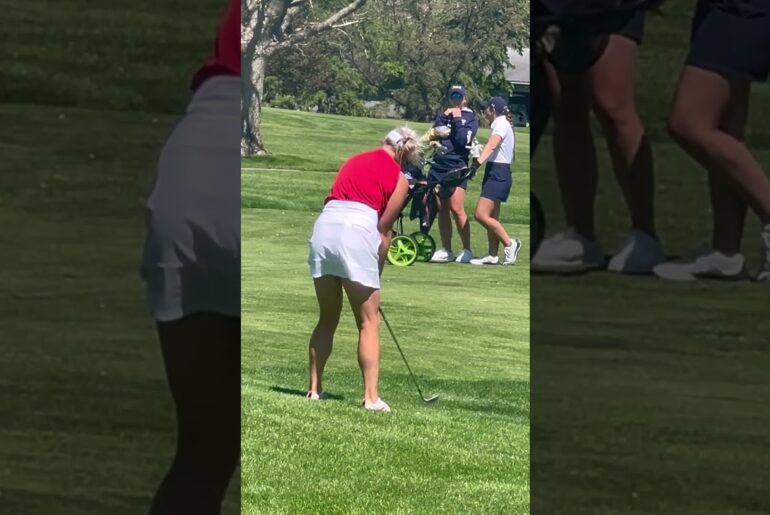 #golfswing #fyp #followthrough #waitforit #golfergolfing #golf