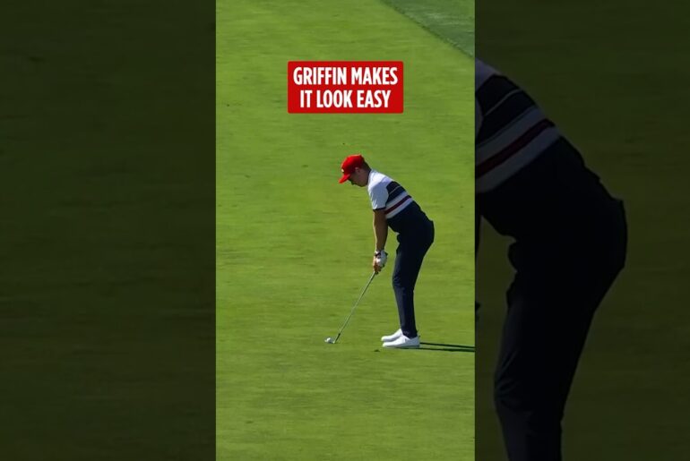 GLORIOUS from Griffin! 😍