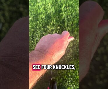 Weak or Strong Grip #golfgear #golf #golftips #golfinstruction