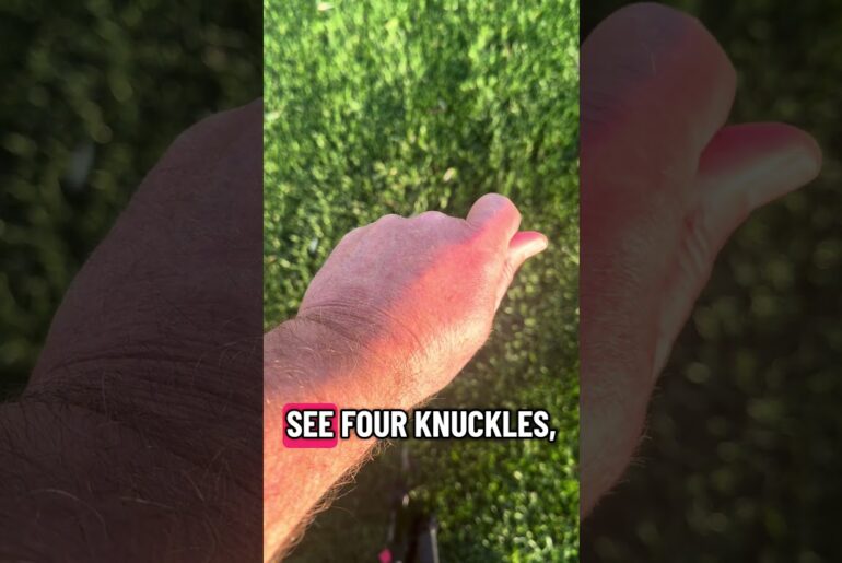 Weak or Strong Grip #golfgear #golf #golftips #golfinstruction