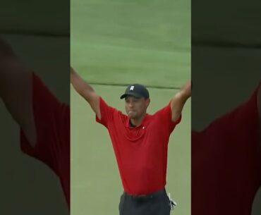 Tiger's ICONIC Tour Championship win🐅
