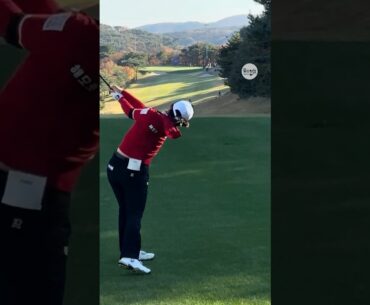 역시 가을여왕! 거침없는 우드샷 🔥❤️ | KLPGA 김수지(Suji Kim) #응원릴레이 #김수지2026