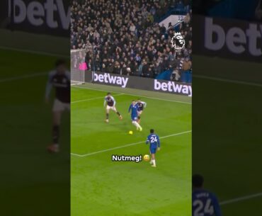 Cole Palmer NUTMEG Alert 🚨🥜