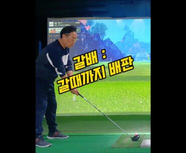 갈배 : 갈때까지 배판 #골프 #배판 #OB #golf