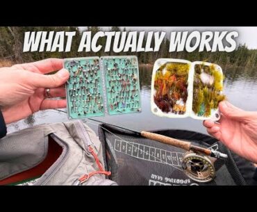 TOP Winter Flies for Fly Fishing Lakes