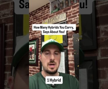 How many hybrids do you carry?