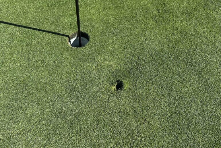 First eagle yesterday!!!!!!