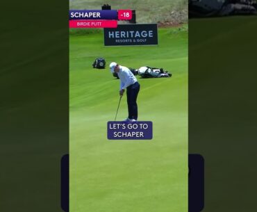 SPECTACULAR from Schaper! 😱