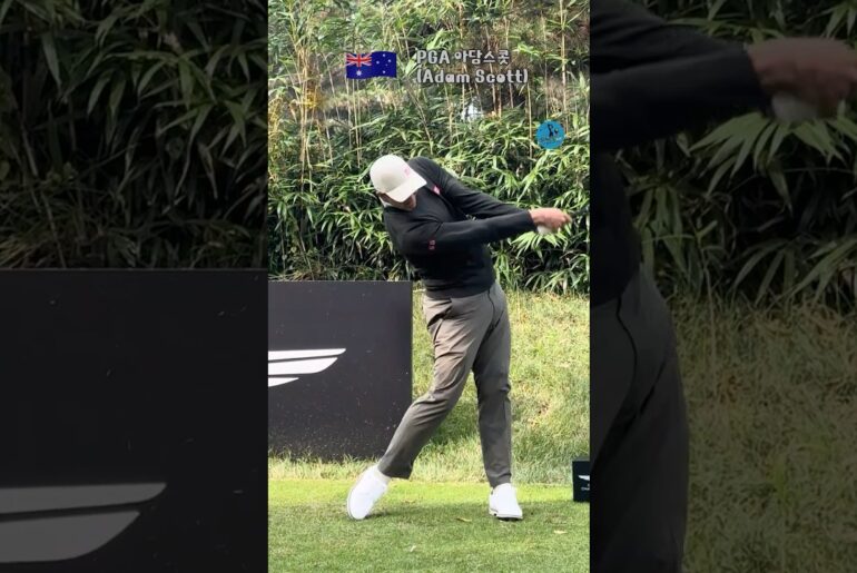 멈춰도 작품이 되는 피니시 👀🤩 [RT+] #아담스콧