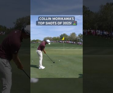 Collin Morikawa is a short game wizard 🪄