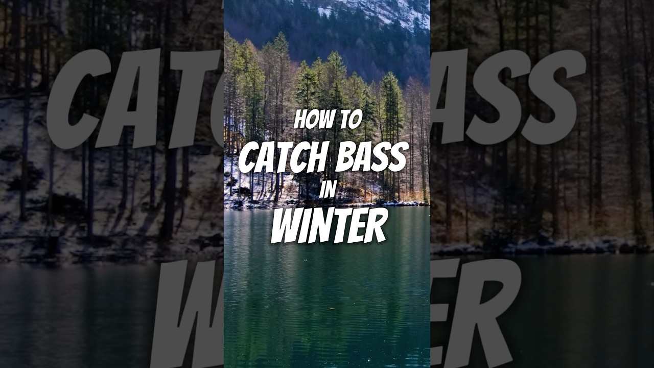 How to Catch Bass in Winter #fishing