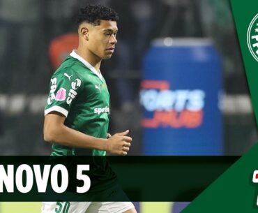 PALMEIRAS TIRA VOLANTE DA COPINHA PARA O PROFISSIONAL PARA TRABALHAR COM ABEL - QUANDO ELE CHEGAR...