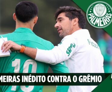 PALMEIRAS TERÁ NOVIDADES PARA BUSCAR UMA VITÓRIA OBRIGATÓRIA CONTRA O GRÊMIO NO BRASILEIRÃO