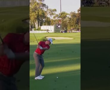 Schaper Iron Swing Down the Line 2025 #golfswing #dpworldtour