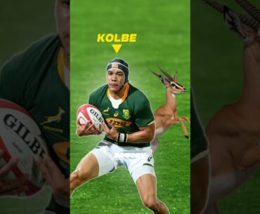 If Kolbe Were An Animal 🥶🤯 #rugby #shorts #cheslinkolbe