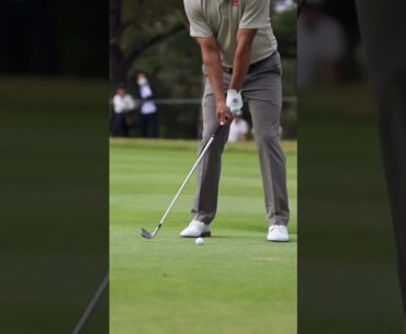 Adam Scott -Pivot Power #golflegends #ballstriker #classicgolf #classicswing