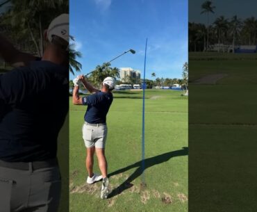Play the final 4 holes at Waialae in 4D seconds with Collin Morikawa!