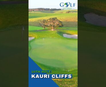 Kauri Cliffs - Fourteenth Hole