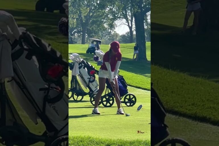 #golfswing #fyp #followthrough #waitforit #golfergolfing #golf