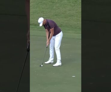 Matt Wallace Putting Stroke 2026 #dpworldtour #dptour #mattwallace