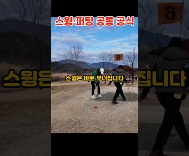 👌스윙·퍼팅이 동시에 안정되는 비밀｜하나·둘·셋 박자⛳ #파크골프 #파크골프초보 #파크골프레슨 #パークゴルフ   #ParkGolf #公园高尔夫