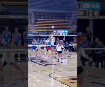 #volleyball  #fyp #waitforit #womensvolleyball