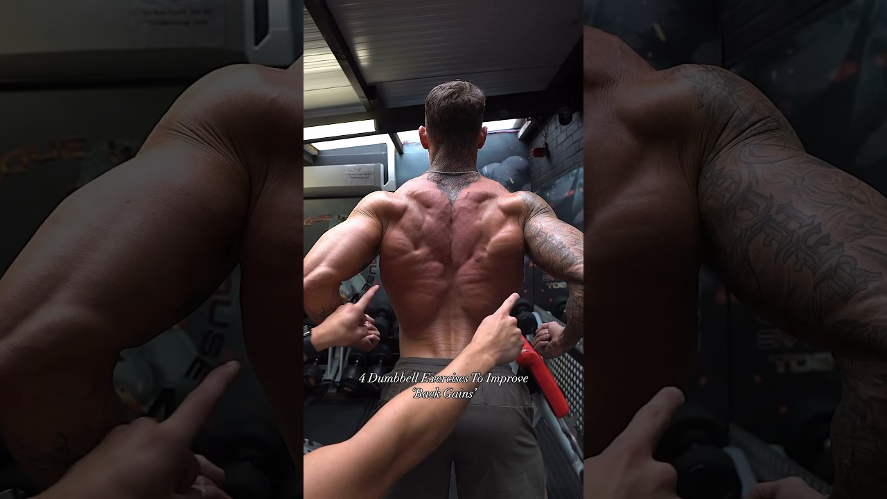 Improve your 'Back Gains' with these 4 dumbbell exercises💪#back #gym