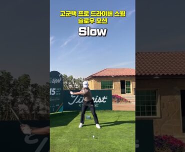 KPGA 3승! 고군택 프로 드라이버 스윙 슬로우 모션