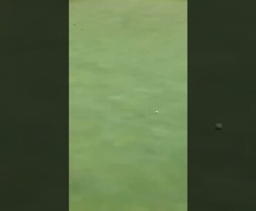 Schaper Chips In #golfswing #dpworldtour #jaydenschaper