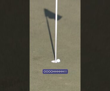 THIS deserved so much more 😭