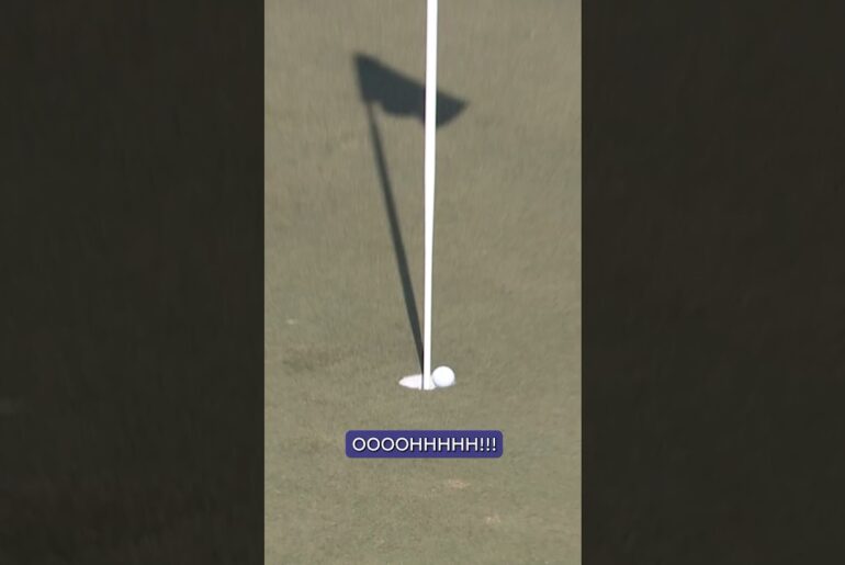 THIS deserved so much more 😭