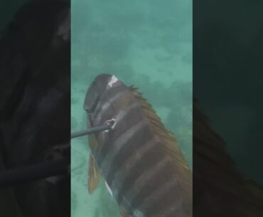 This started underwater